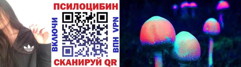 Псилоцибиновые грибы Psilocybine cubensis Андреаполь